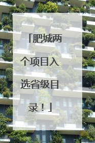 肥城两个项目入选省级目录！