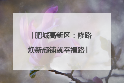 肥城高新区：修路焕新颜铺就幸福路