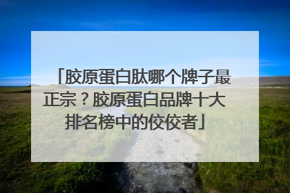 胶原蛋白肽哪个牌子最正宗？胶原蛋白品牌十大排名榜中的佼佼者
