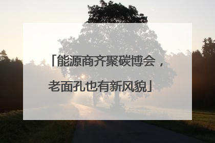 能源商齐聚碳博会，老面孔也有新风貌