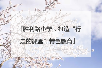 胜利路小学：打造“行走的课堂”特色教育