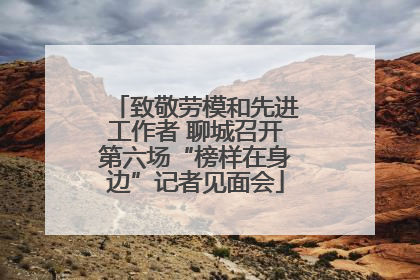致敬劳模和先进工作者 聊城召开第六场“榜样在身边”记者见面会