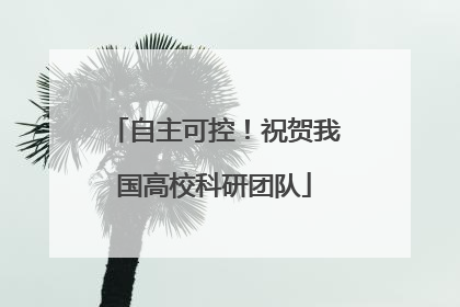 自主可控！祝贺我国高校科研团队