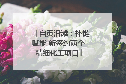 自贡沿滩：补链赋能 新签约两个精细化工项目