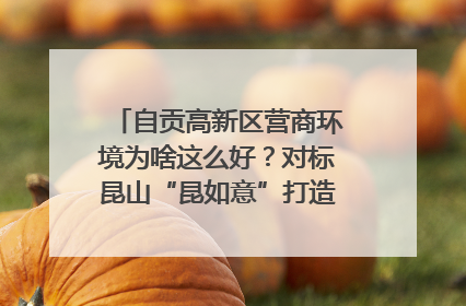 自贡高新区营商环境为啥这么好？对标昆山“昆如意”打造自贡“高兴办”｜美好生活有“盐”味