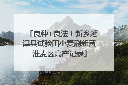 良种+良法！新乡延津县试验田小麦刷新黄淮麦区高产记录