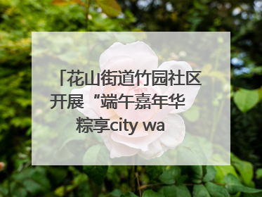 花山街道竹园社区开展“端午嘉年华 粽享city walk”主题活动