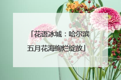 花语冰城：哈尔滨五月花海绚烂绽放