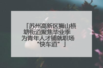 苏州高新区狮山横塘街道聚焦毕业季 为青年人才铺就职场“快车道”