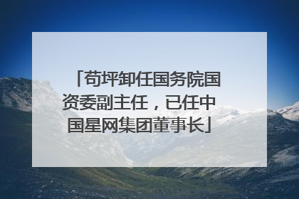 苟坪卸任国务院国资委副主任，已任中国星网集团董事长
