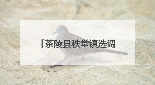 茶陵县秩堂镇选调生联合多部门开展安全宣讲进校园活动