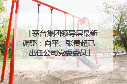 茅台集团领导层最新调整：向平、张贵超已出任公司党委委员