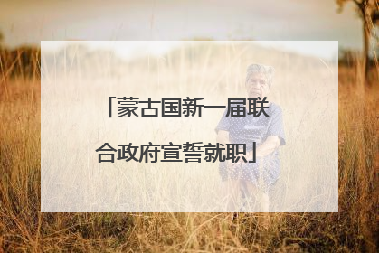 蒙古国新一届联合政府宣誓就职