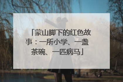 蒙山脚下的红色故事：一所小学、一盏茶碗、一匹病马