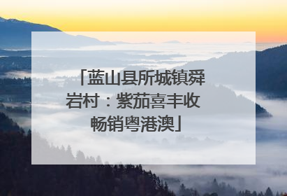 蓝山县所城镇舜岩村：紫茄喜丰收 畅销粤港澳