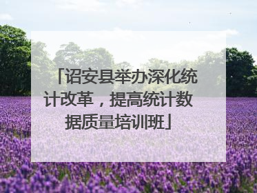 诏安县举办深化统计改革，提高统计数据质量培训班
