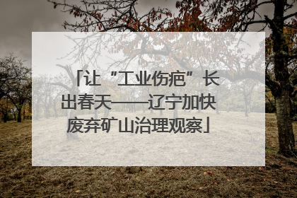 让“工业伤疤”长出春天——辽宁加快废弃矿山治理观察