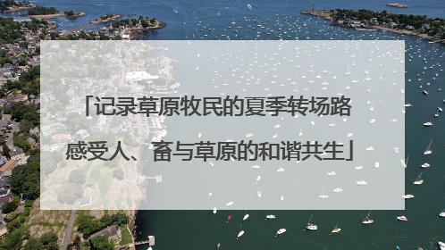 记录草原牧民的夏季转场路 感受人、畜与草原的和谐共生