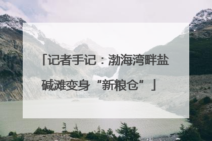 记者手记：渤海湾畔盐碱滩变身“新粮仓”