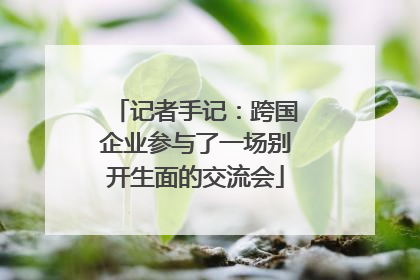 记者手记：跨国企业参与了一场别开生面的交流会