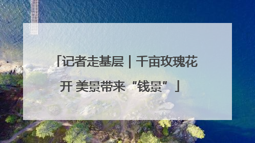 记者走基层｜千亩玫瑰花开 美景带来“钱景”