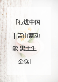 行进中国｜青山蓄动能 黑土生金仓
