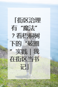 街区治理有“魔法”？看梧桐树下的“破圈”实践｜我在街区当书记