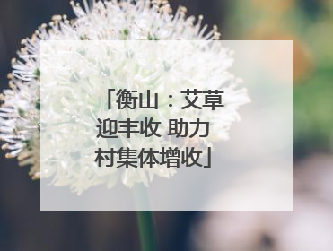 衡山：艾草迎丰收 助力村集体增收