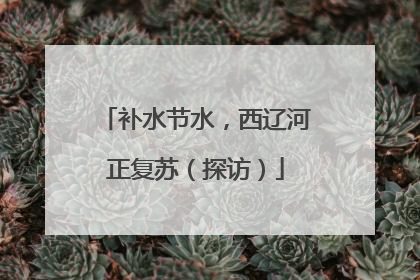 补水节水，西辽河正复苏（探访）