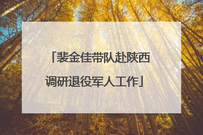 裴金佳带队赴陕西调研退役军人工作