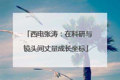 西电张涛：在科研与镜头间丈量成长坐标