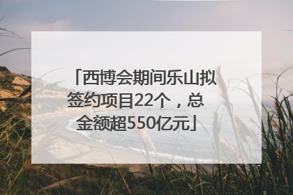 西博会期间乐山拟签约项目22个，总金额超550亿元