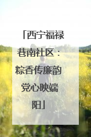西宁福禄巷南社区：粽香传廉韵 党心映端阳