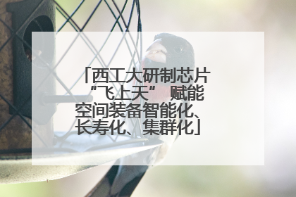西工大研制芯片“飞上天” 赋能空间装备智能化、长寿化、集群化