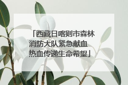 西藏日喀则市森林消防大队紧急献血 热血传递生命希望