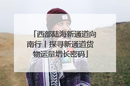 西部陆海新通道向南行丨探寻新通道货物运量增长密码