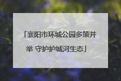 襄阳市环城公园多策并举 守护护城河生态