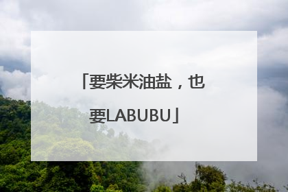 要柴米油盐，也要LABUBU