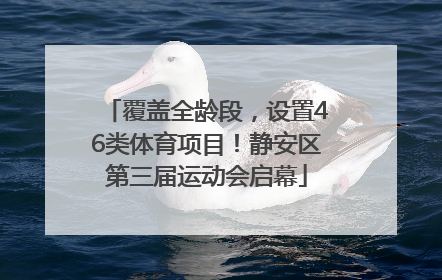 覆盖全龄段，设置46类体育项目！静安区第三届运动会启幕