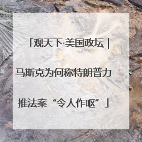 观天下·美国政坛｜马斯克为何称特朗普力推法案“令人作呕”