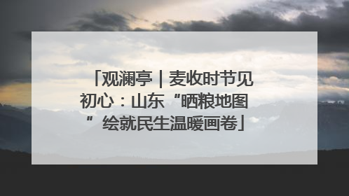 观澜亭｜麦收时节见初心：山东“晒粮地图”绘就民生温暖画卷