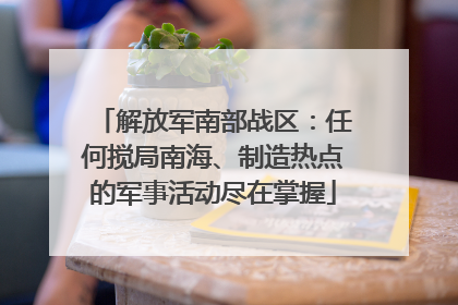 解放军南部战区：任何搅局南海、制造热点的军事活动尽在掌握