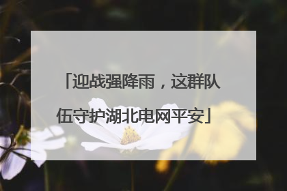 迎战强降雨，这群队伍守护湖北电网平安