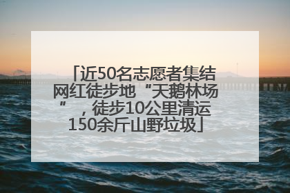 近50名志愿者集结网红徒步地“天鹅林场”，徒步10公里清运150余斤山野垃圾