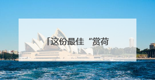 这份最佳“赏荷图”，请收好！