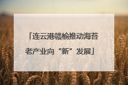 连云港赣榆推动海苔老产业向“新”发展
