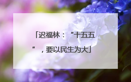 迟福林：“十五五”，要以民生为大