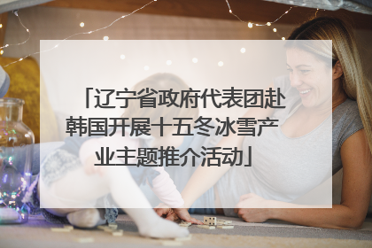 辽宁省政府代表团赴韩国开展十五冬冰雪产业主题推介活动