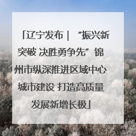 辽宁发布｜“振兴新突破 决胜勇争先”锦州市纵深推进区域中心城市建设 打造高质量发展新增长极