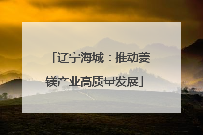 辽宁海城：推动菱镁产业高质量发展